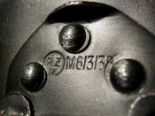 IMG_3537.jpg