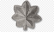 kisspng-lieutenant-colonel-united-states-air-force-officer-5af18a66862ac4.8487073215257790465496.jpg