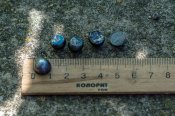 DSC05756.jpg