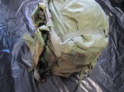 IMG_1886.jpg
