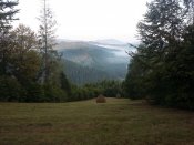 20190824_071437.jpg