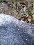 IMG_20190824_164656.jpg