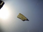 DSCN5733.JPG