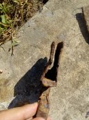 IMG_20190831_111251.jpg