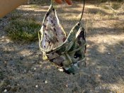 Маскхалат Диверсант 3 multicam