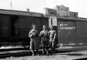 Ukrainian volunteers2.jpg