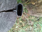 IMG_20190901_095206.jpg