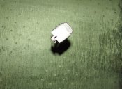 IMG_7615.JPG