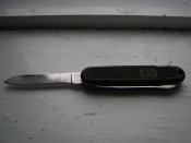 IMG_1427.jpg