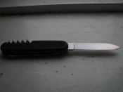 IMG_1443.jpg