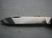 IMG_1445.jpg