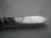 IMG_1454.jpg