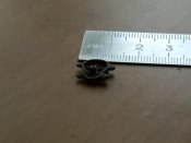 DSCN4462.jpg