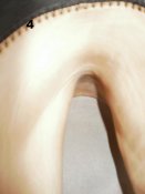 PB030054.jpg