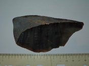 DSC00215.jpg