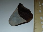 DSC00217.jpg