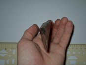 DSC00219.jpg