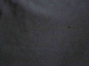 IMG_6984.jpg
