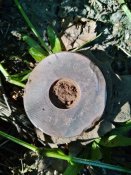 IMG_20190906_103821.jpg