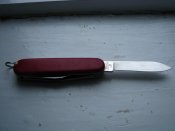 IMG_1514.jpg