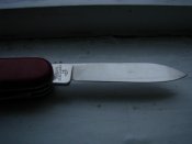 IMG_1515.jpg