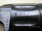 IMG_2391.jpg