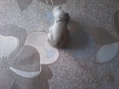 1567960720160-277336251.jpg