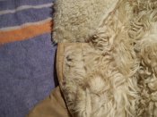 100_4476.jpg