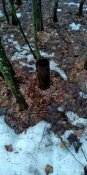 IMG_20190309_063504.jpg