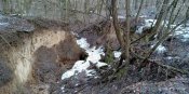 IMG_20190309_063924.jpg