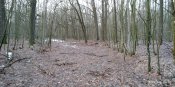 IMG_20190309_064210.jpg