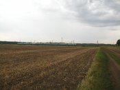 IMG_004.JPG