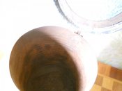 DSCN0300.JPG
