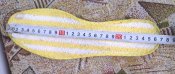 IMG-20190910-46150.jpg