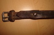 DSC07548.jpg