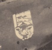 Fw189____.jpg