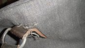 DSC04051.JPG