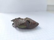 Кокарда Польща (3).jpg