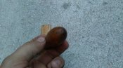 IMAG2413.jpg