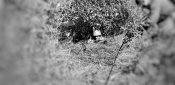 20190915_105935-01.jpeg