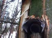 IMG_0047.jpg
