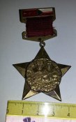 Знак партизанского соединения Сталин (Соединение партизанских отрядов М.И. Шукаева)