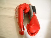 DSCN6678.JPG