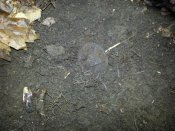 20121103_150356.jpg