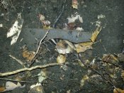 20121110_143701.jpg