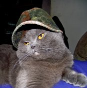 к3.JPG