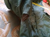 IMG_20190916_174512.jpg