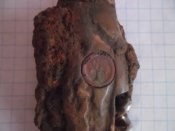 SAM_5173.JPG