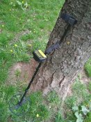 IMG_20190503_151031.jpg