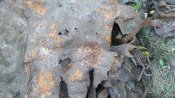 IMG_20190918_183820.jpg